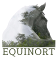 Acerca de Equinort