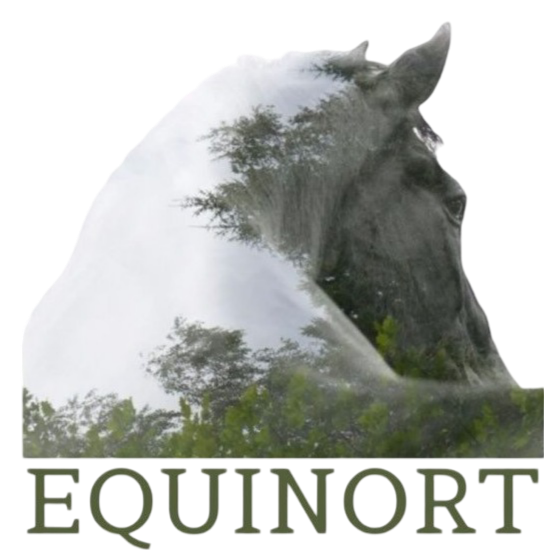 Acerca de Equinort