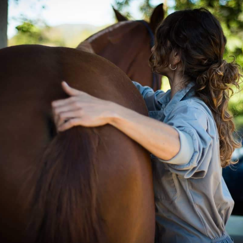 Veterinarios en Cantabria
